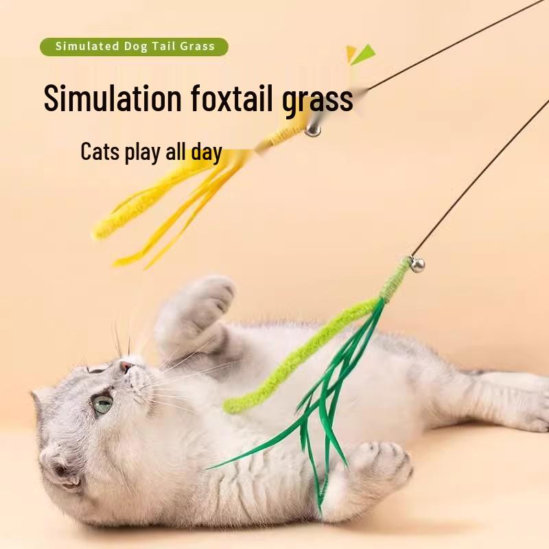 Cat Toy: Long Handle Teasing Stick with Bell, Bite-Resistant Kitten Entertainment Tool