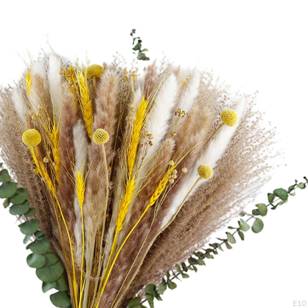 Floral Bouquet Reed Vase Dried Flower Photography Living Room Arrangement