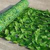 Artificial Ivy Privacy Fence Screen
