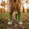Warme Hundebeinlinge Elastische Gestrickte Hundebeinwärmer Welpenbeinschutz Haustier Socken Beinschutz