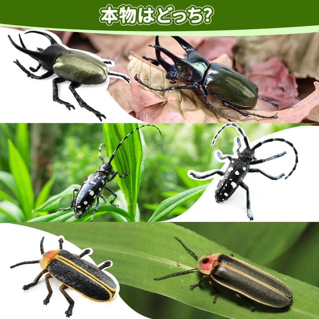 TOYMANY 12-Piece Animal Figure Set, Insect Toy Set, Realistic Insect Models, Plastic Beetle Toys, Popular Toys, Birthday Gifts, Christmas, New