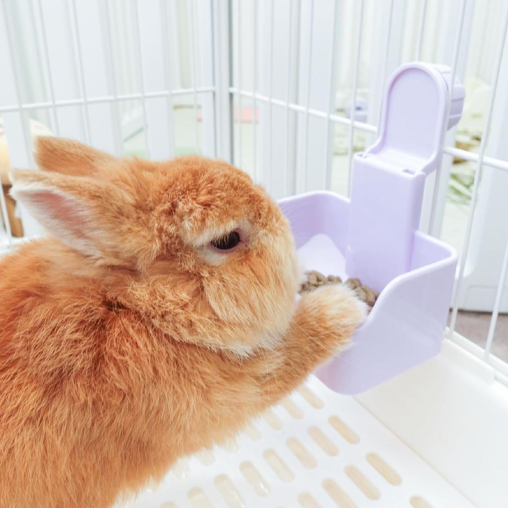 Teemoyaya Kanin Fôring Kjæledyr Lett å Skyve Lett å Lett å Marsvin Små Dyr Mater, Tallerken, Skål, Spise, Anti-tipp, Type, Fast, Installere, Rengjøre,