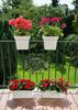 Donica Balustradowa Lys Antracyt 29 Cm