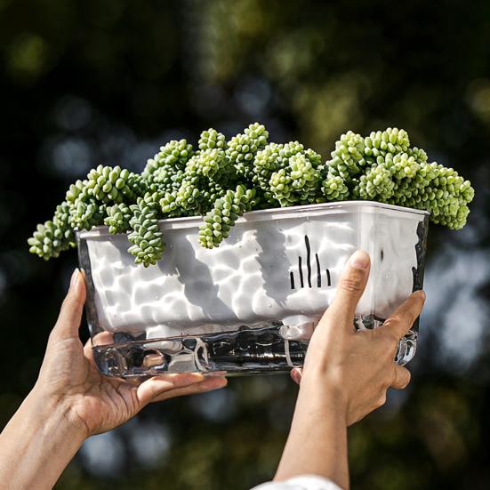 Maceta Transparente de Riego Automático para Plantas de Interior y Exterior Maceta de Plantación con Agujero de Drenaje Depósito Profundo Maceta para Hierbas y Flores con Cuerda de Mecha