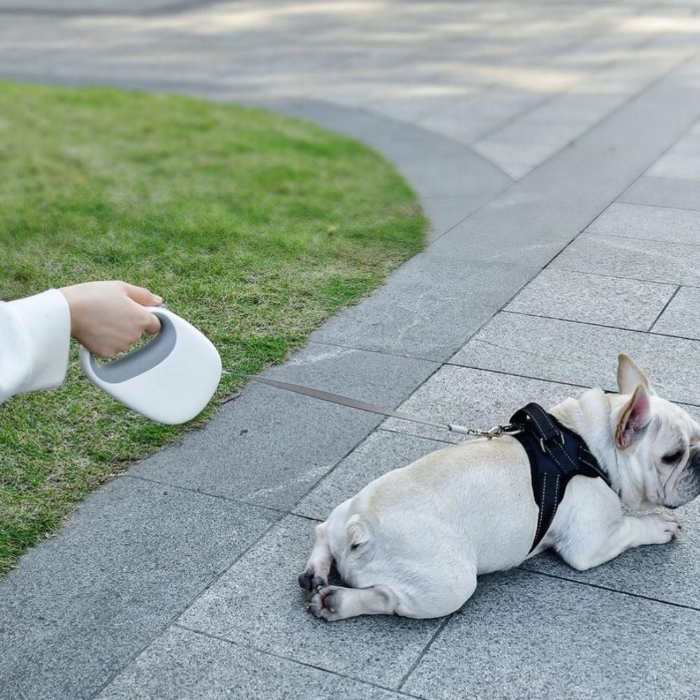 Portable Design Retractable Dog Leash Anti-Escape Mechanism Dogs Auto Retractable Belt  Training