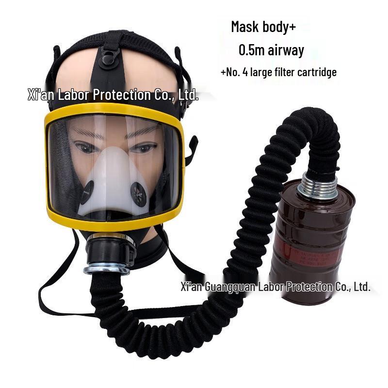 SANSHENG Full Face Respirator for Painting Standard