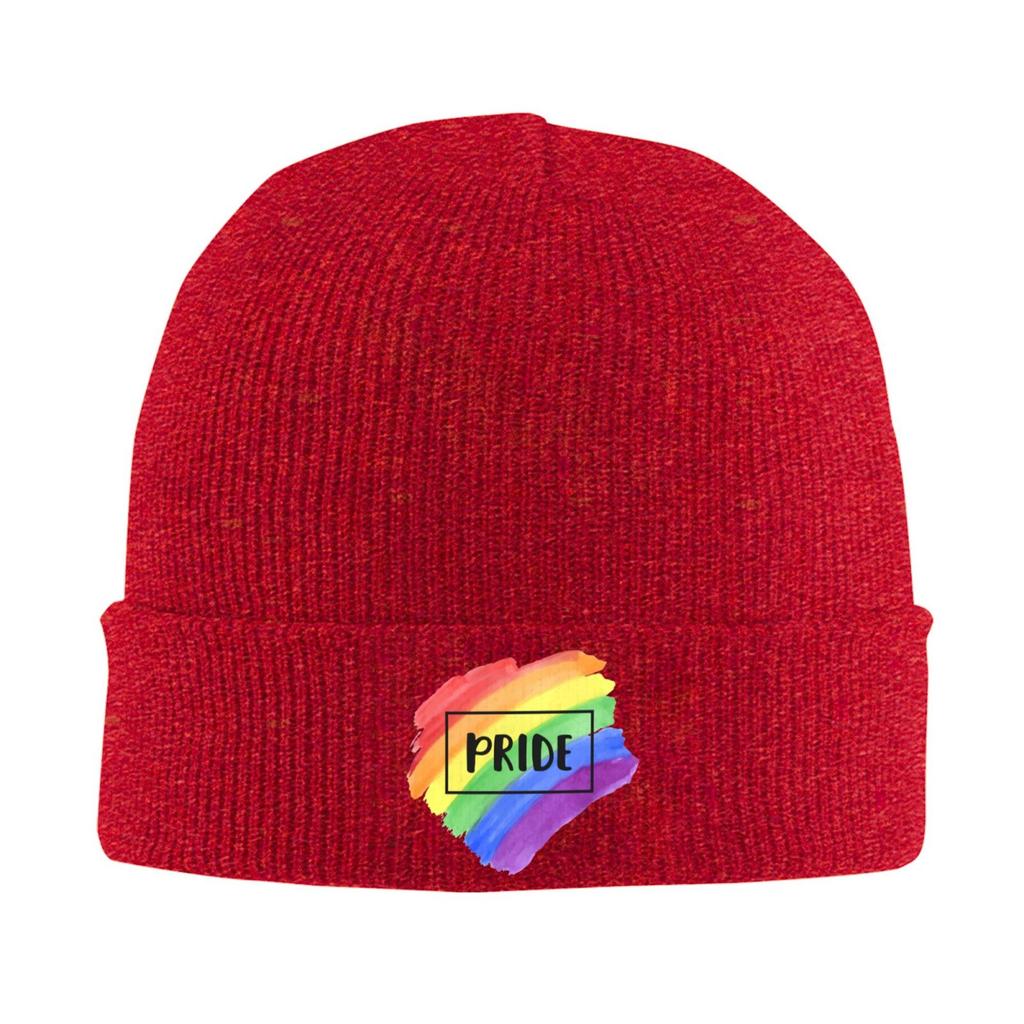 Rainbow Queer Pride Lgbt Warm Knitted Cap Fashion Bonnet Hat Autumn Winter Outdoor Beanies Hats For Unisex Skull Knitted Hat