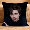 T-Timothee Anime ChalametS Cushion Cover Pillowcase Upholstery Sofa Throw Pillow Home Decor Pillowcas