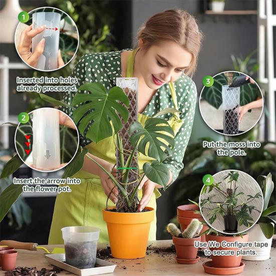 Pali di Muschio per Monstera 16 Pollici in Plastica a Forma di D Pali di Muschio per Piante Supporto per Piante Rampicanti Funziona con Muschio di Sfagno per la Crescita di Piante da Interno
