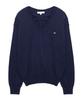 Eilubeu V-Neck Cashmere Aarapo101P