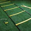 Agility Training Ladder