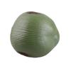 Realistic Artificial Coconut Accent Versatile Synthetic Coconut Model for Photography Props and Exhibition Displays