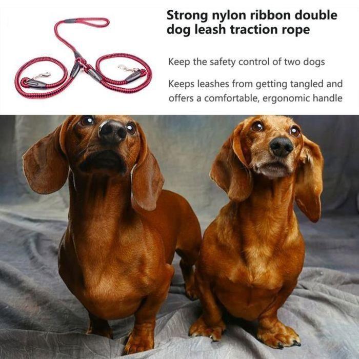 Laisse de chien double en ruban de nylon solide une corde de traction enchevêtrement tressée rouge et noir