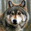 5D Diamond Painting Full of Diamonds, Animal DIY Round Diamond Square Diamond Hanging Diamond Sticker Living Room