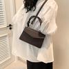 Trendy Pu Leather Shoulder Bag Fashionable 2024 Spring Women Crossbody Bag