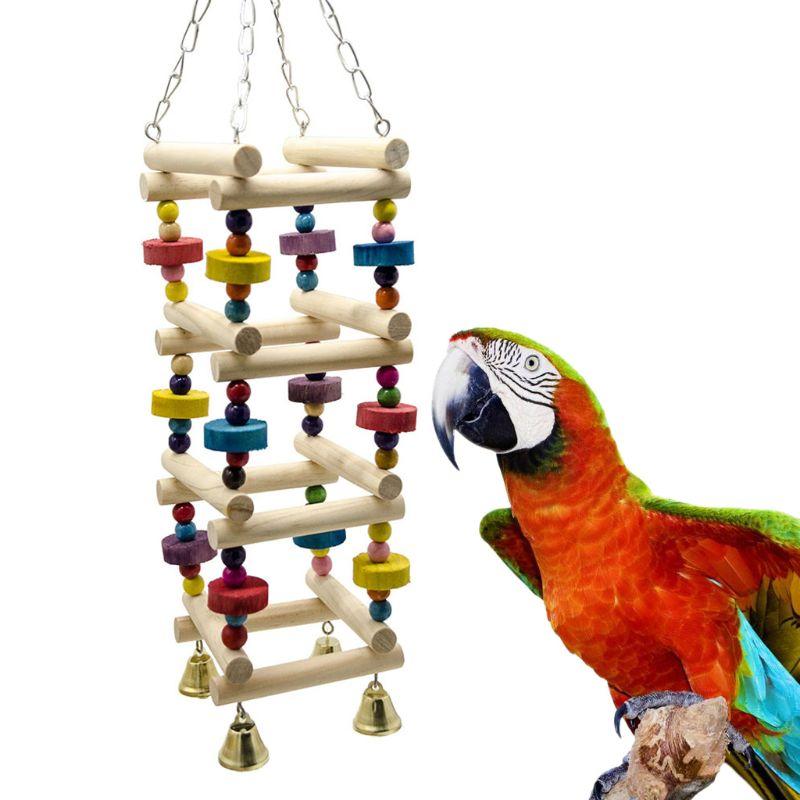 parrot swings