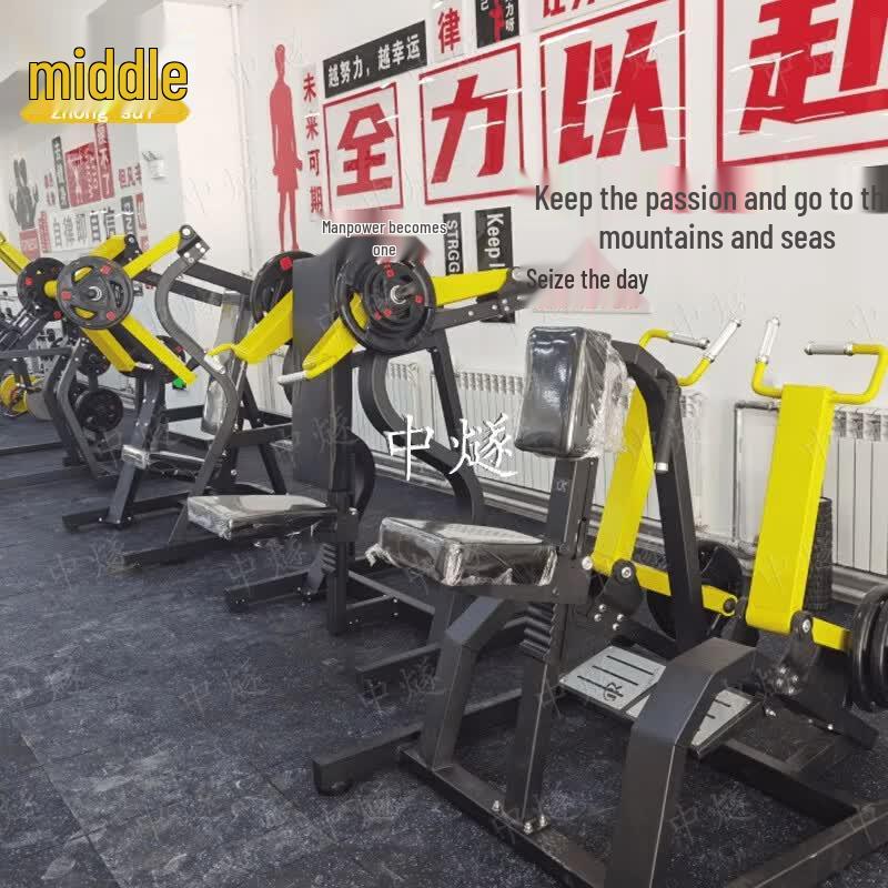 ZhongSui Commercial Seated Shoulder Press Trainer