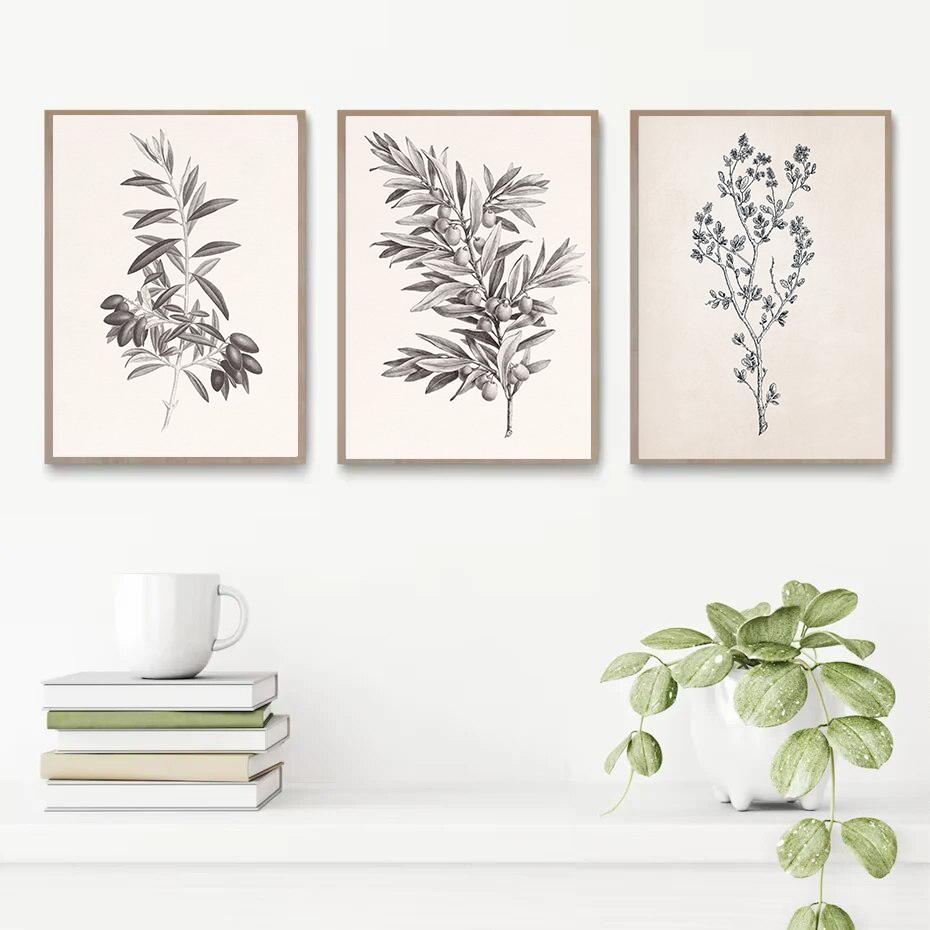 Apple Garlic Daisy Blossom Olive Branch Sketch Poster Print Vintage Botanical Drawing Canvas Painting for  Kitchen Room Decor