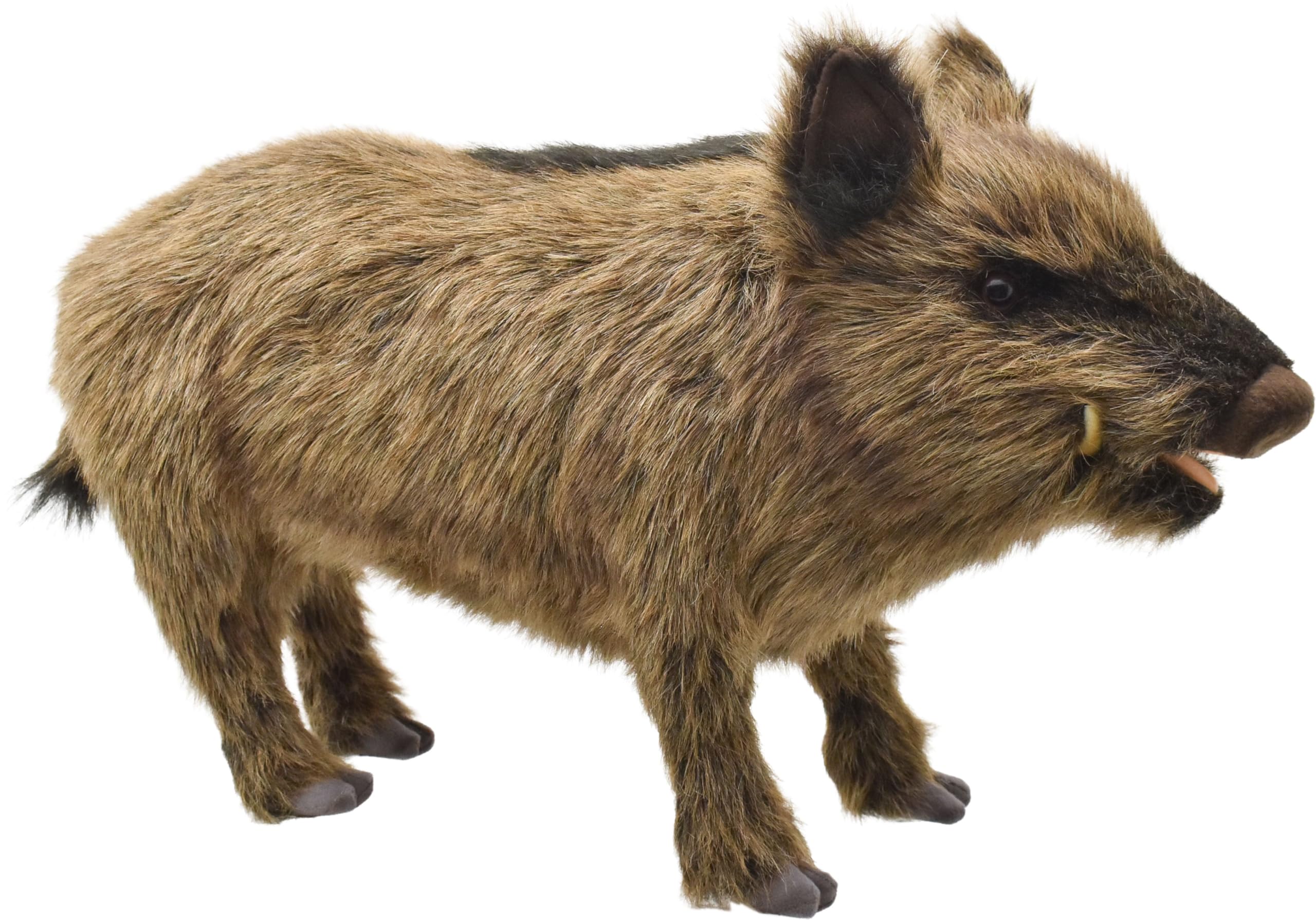 

Canal BH4092 HANSA Boar 52