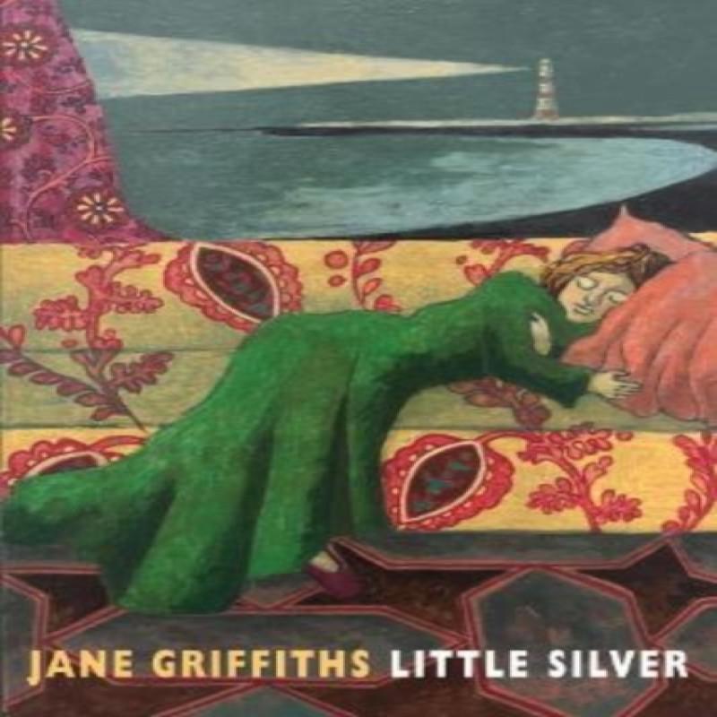 Little Silver by Jane Griffiths Paperback Book 9781780376127