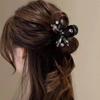 Crystal Half-Up Hair Clip Exquisite Rhinestone Side Hair Clip Shark Clip For Women