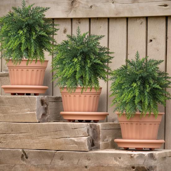 Artificial Pine Topiary Realistic Faux Pine Bushes Artificial Greenery with Spike Christmas Topiary