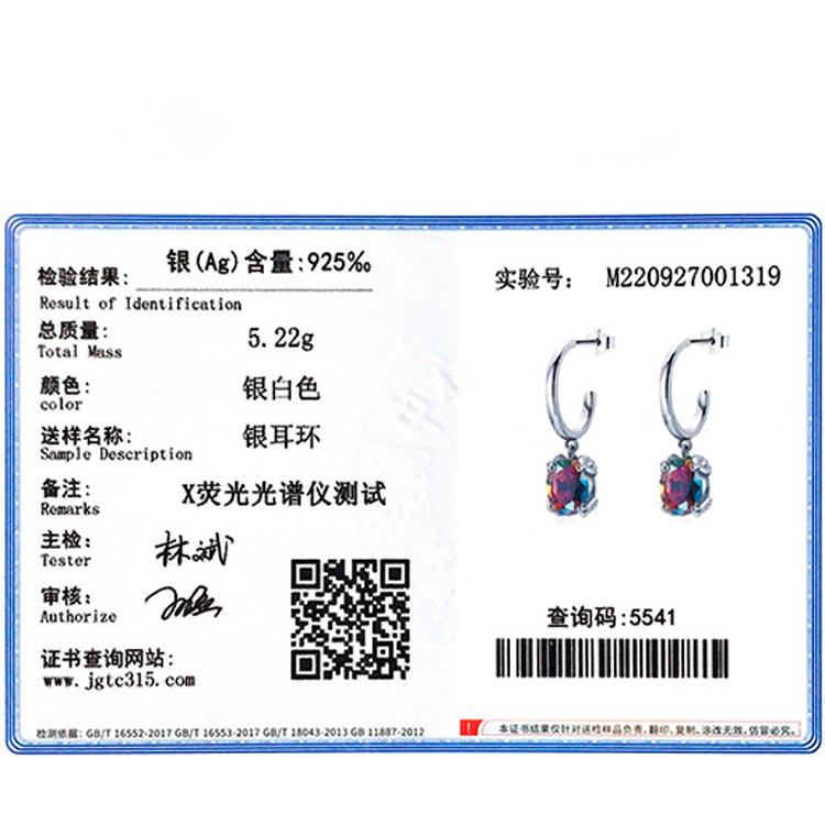 Damen-Ohrringe, S925-Sterlingsilber, bunte Zirkon-Ohrringe, modische Damen-Ohrringe