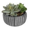 Realistic Faux Succulent Plant with Stone Pot Ideal Desk Shelf Decoration Unique Housewarming Gift
