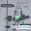TLXT Digital Display Ambient Light Shower System