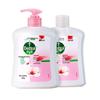 Healthy Antibacterial Hand Wash