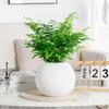 Self Watering Pot for Indoor Plants Plastic Wicking Flower Pot with Inner Pot Modern Decorative Planter for Herbs Flowers House Plants