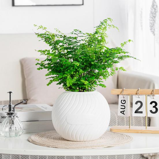 Self Watering Pot for Indoor Plants Plastic Wicking Flower Pot with Inner Pot Modern Decorative Planter for Herbs Flowers House Plants