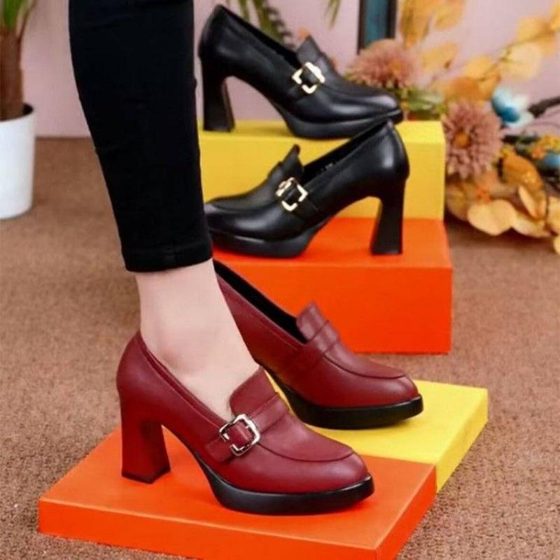 Pointed High Heels Women'S Shoes Spring New Needle Buckle Waterproof Platform Heel Deep Mouth Women'S Leather Shoes Trafza