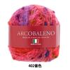 SKIYARN Yarn Color Autumn/Winter "Arcobaleno 402"
