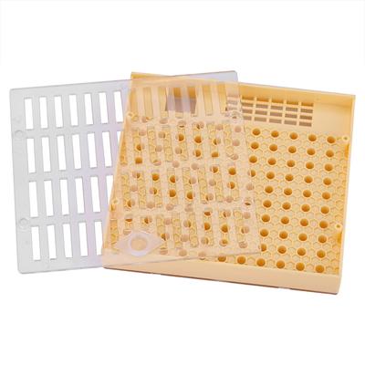 Bee Queen Aufzucht Zelle Cupkit Box Fall für Cupularve System Bienenzucht Werkzeug