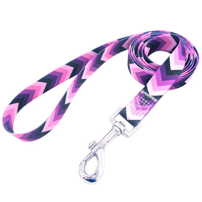 Patterned Webbing Dog Leash - Printed Pet Rope