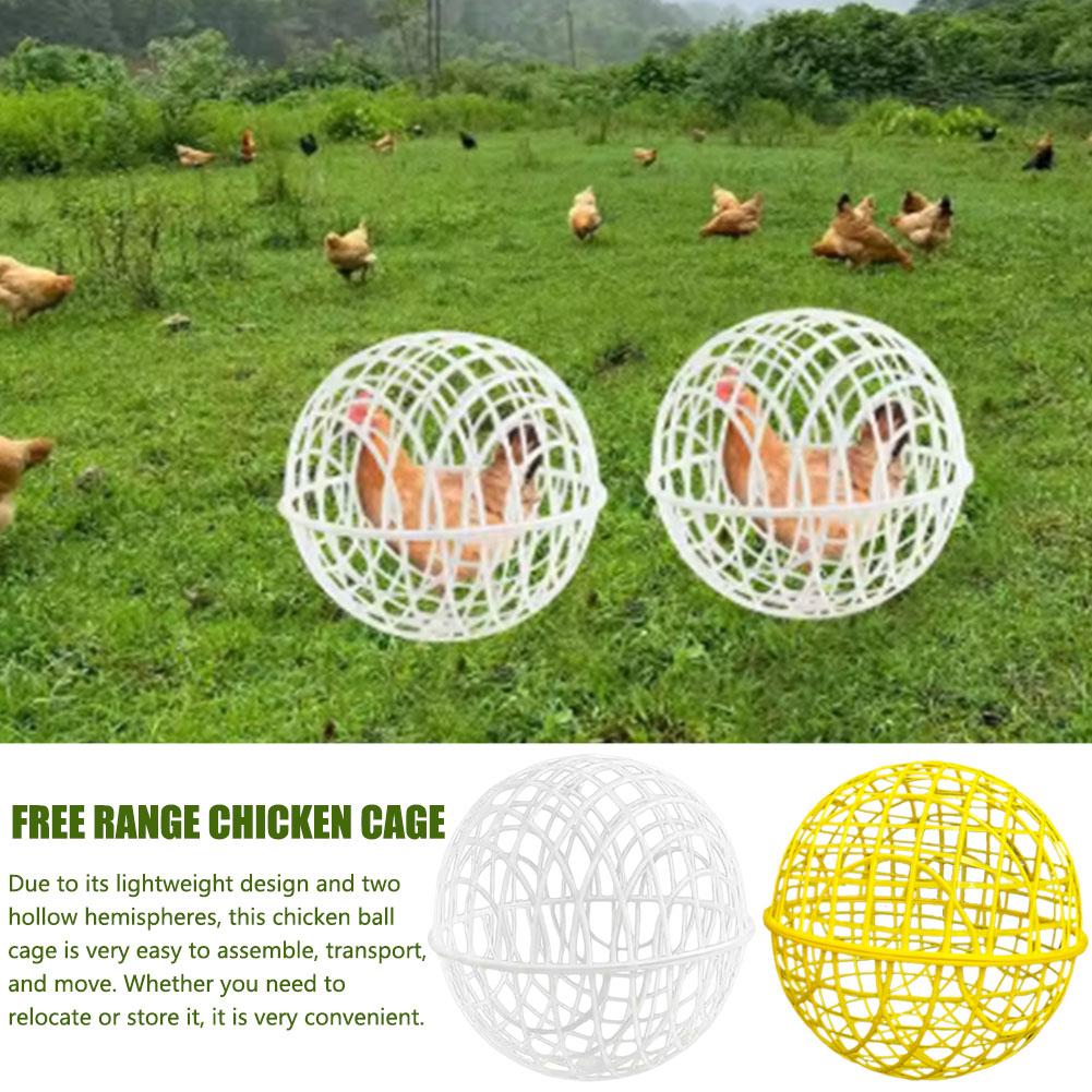 

2-3pcs Chicken Rolling Ball Cage Pet Safety Cage Spherical Free Chicken Range Ball Cage Cage Or M2H3 3pcs Yellow 11.81-One size