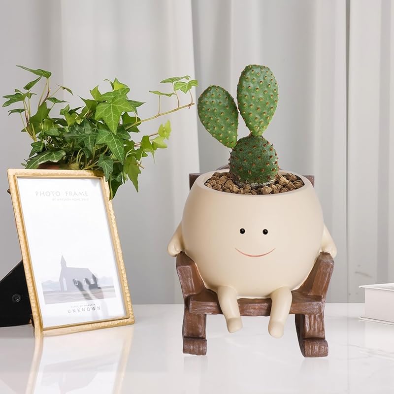 Rocking Chair Face Resin Planter Pot with Drainage Cute Flower Pots for Succulents Plants Live Indoor Outdoor Planters for Houseplants Gift Small
