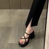 Internet celebrity temperament high-heeled sandals women's platform 2025 summer new fashion thick heel women's outer wear cover toe cool slippers