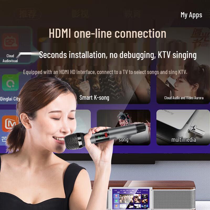 SANSUI 91P Home KTV Sound System CN Plug (adapter Included)