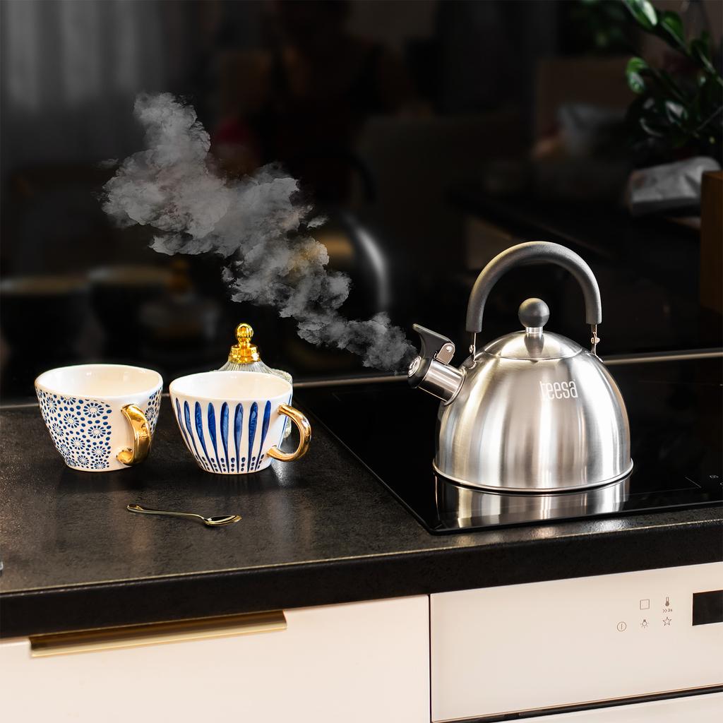 Teesa stainless steel kettle with whistle 1.8L gas induction