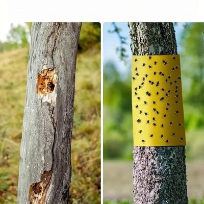 Insektenschutz-Klebeband Outdoor Garten Insektenfalle Klebeband