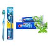 Crest Colorful Crystal Toothbrush & Herbal Toothpaste Set