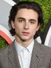 Timothee Chalamet 8x10 Picture Simply Stunning Photo Poster Painting Gorgeous Celebrity #4