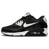 Air Max 90 Essential Metallic Silver Women's 616730-023