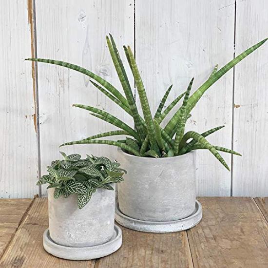Dulton Cement Planter Round with Drain CEMENT POT ROUND Pot, Small, Type, Hole, G20-0219S