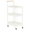 Hairdressing Trolley Cosmetic Spa For Salon Shelves Mobile Shelf On Wheels For Salon White