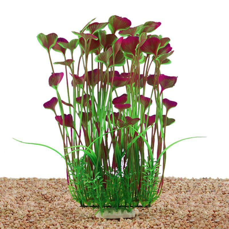 large aquarium plants