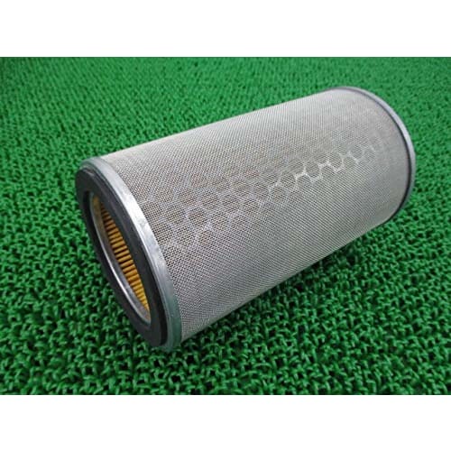 Honda Genuine Motorcycle Parts CB1100 Air Cleaner Element Genuine 17210-MEJ-981 21847619
