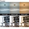 Modern LED Chandelier Dimmable Chandeliers Ceiling Lights Kitchen Island Pendant Light Fixture Gold Hanging Lamp for Dining Room
